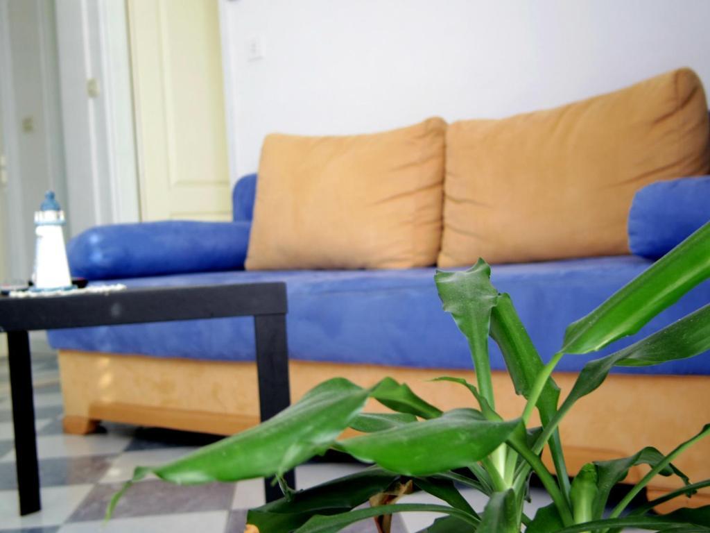 Apartments Capitano Blue Zaton  Room photo